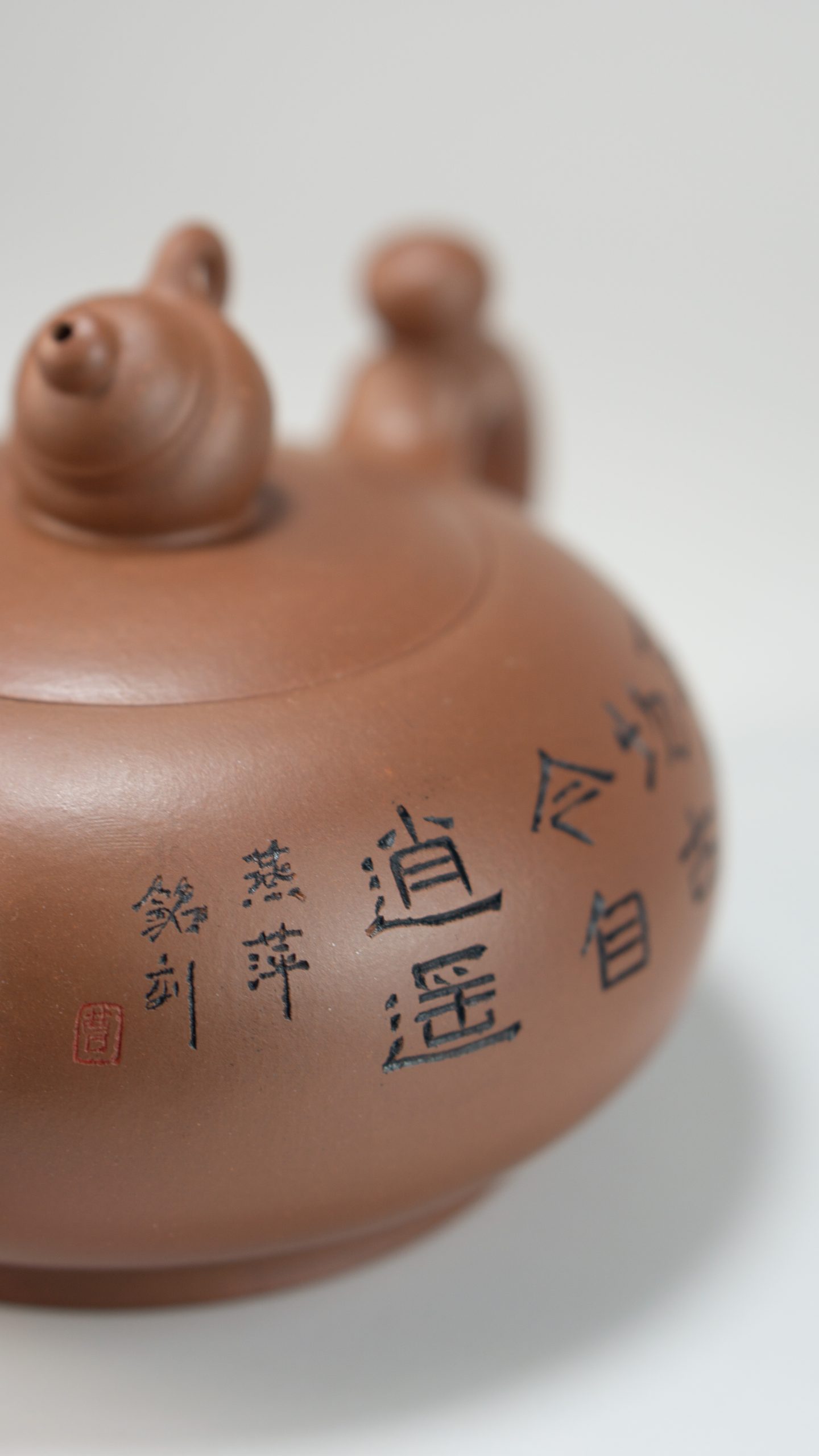 曹燕萍_壺中壺_黃皮龍_PHOTO